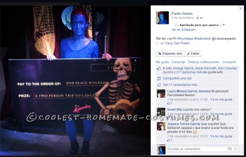 Coolest Homemade Mystique Costume