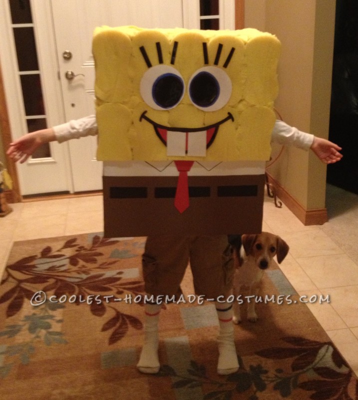 Coolest SpongeBob Costume For a 9 Year Old Boy