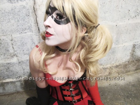 Crazy Adorable Harley Quinn Costume