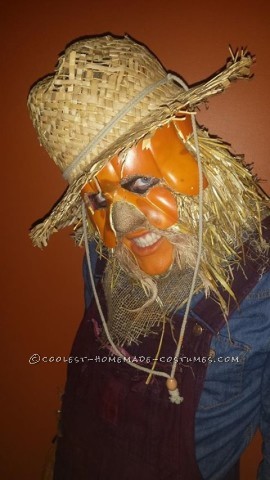 Creepy Scarecrow Joe Costume