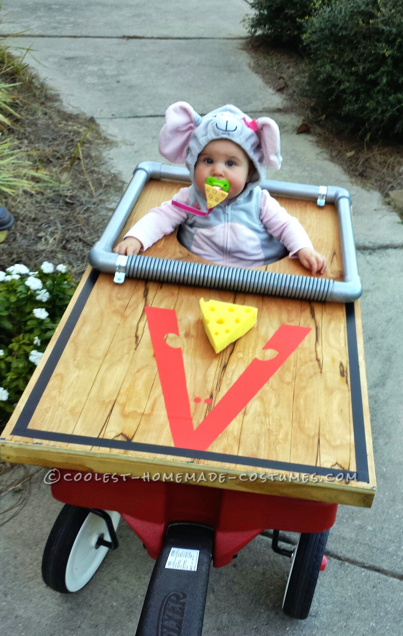 Cutest Baby Mouse/Mousetrap Costume