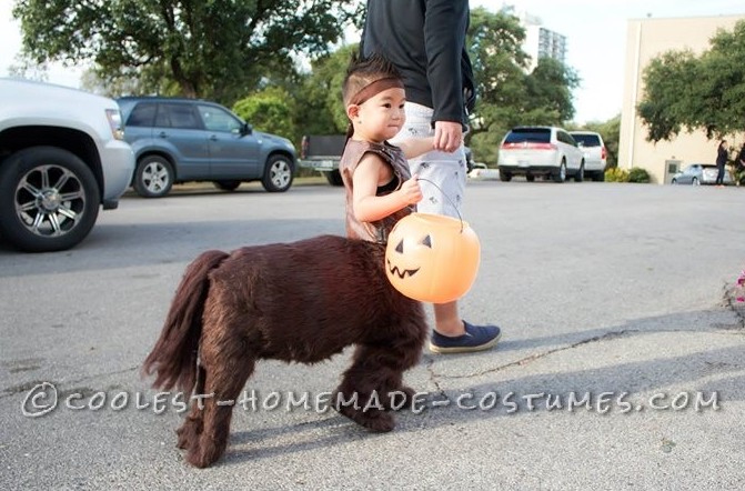 Super Cool DIY Centaur Costume