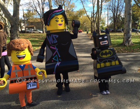 Cool DIY Lego Family Costume