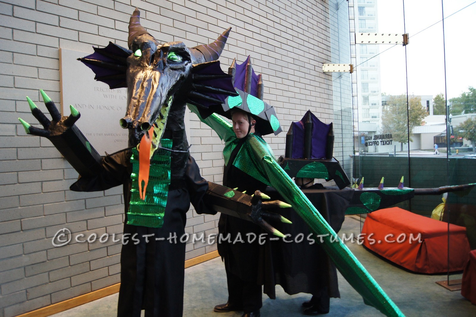 Dramatic Dragon Group Costume