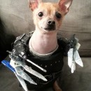 Edward Scissorpaws Costume for a Chihuahua Dog