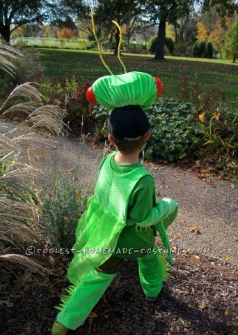 Fabulous and Original Homemade Praying Mantis Costume