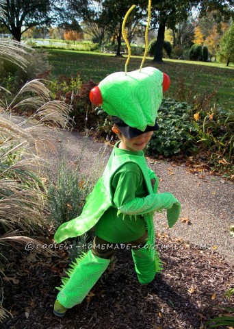 Fabulous and Original Homemade Praying Mantis Costume