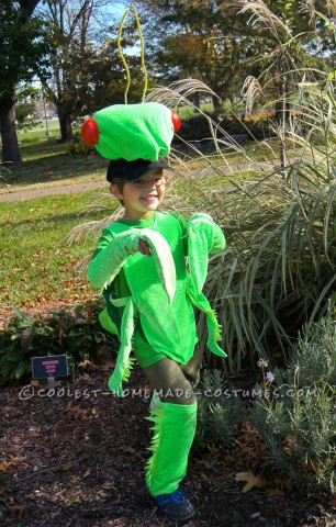 Fabulous and Original Homemade Praying Mantis Costume