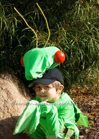 Fabulous and Original Homemade Praying Mantis Costume