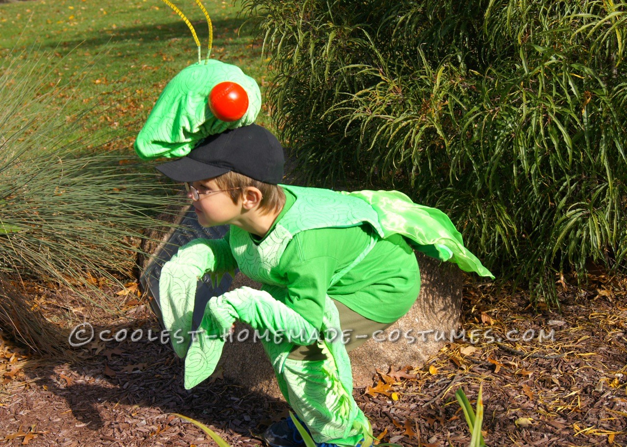 Fabulous and Original Homemade Praying Mantis Costume