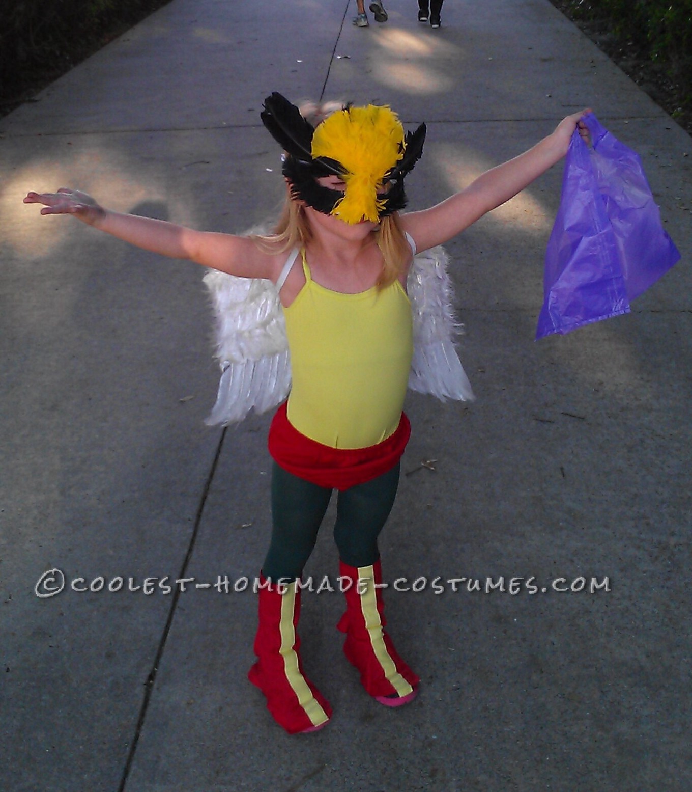 Coolest Homemade Hawk Girl Costume