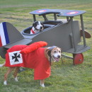 High Flying Snoopy Versus The Red Baron Pet Dog Costumes