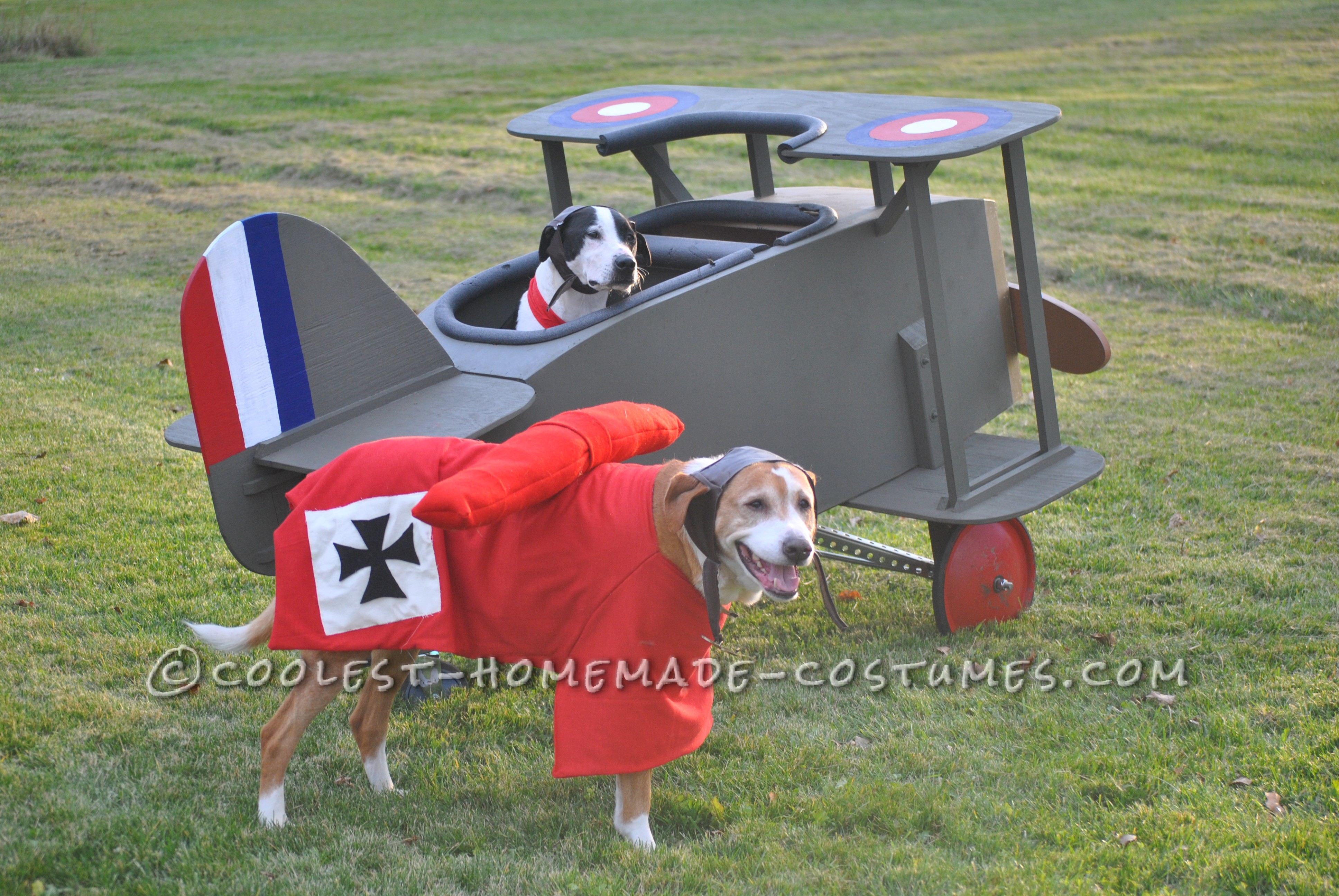 salat Eve Skat High Flying Snoopy Versus The Red Baron Pet Dog Costumes