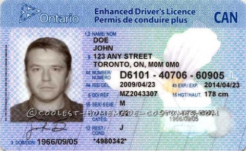 Driver's Licence Costume for a High Maintenance Kid!