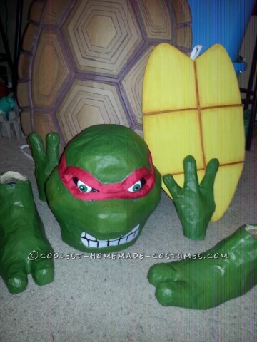 Coolest Homemade Raphael Costume