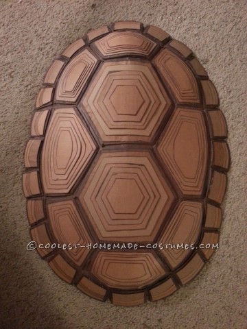 Coolest Homemade Raphael Costume