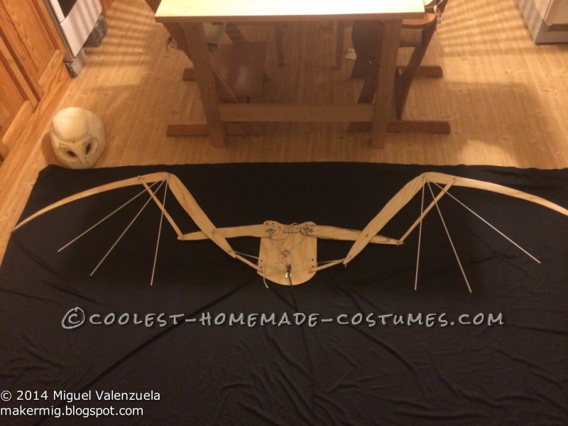 Wing Skeleton