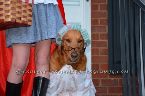 Little Red Riding Hood Child Costume and Grandmother Dog