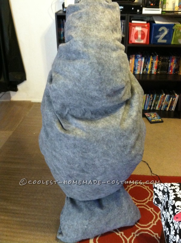 The back of the manatee