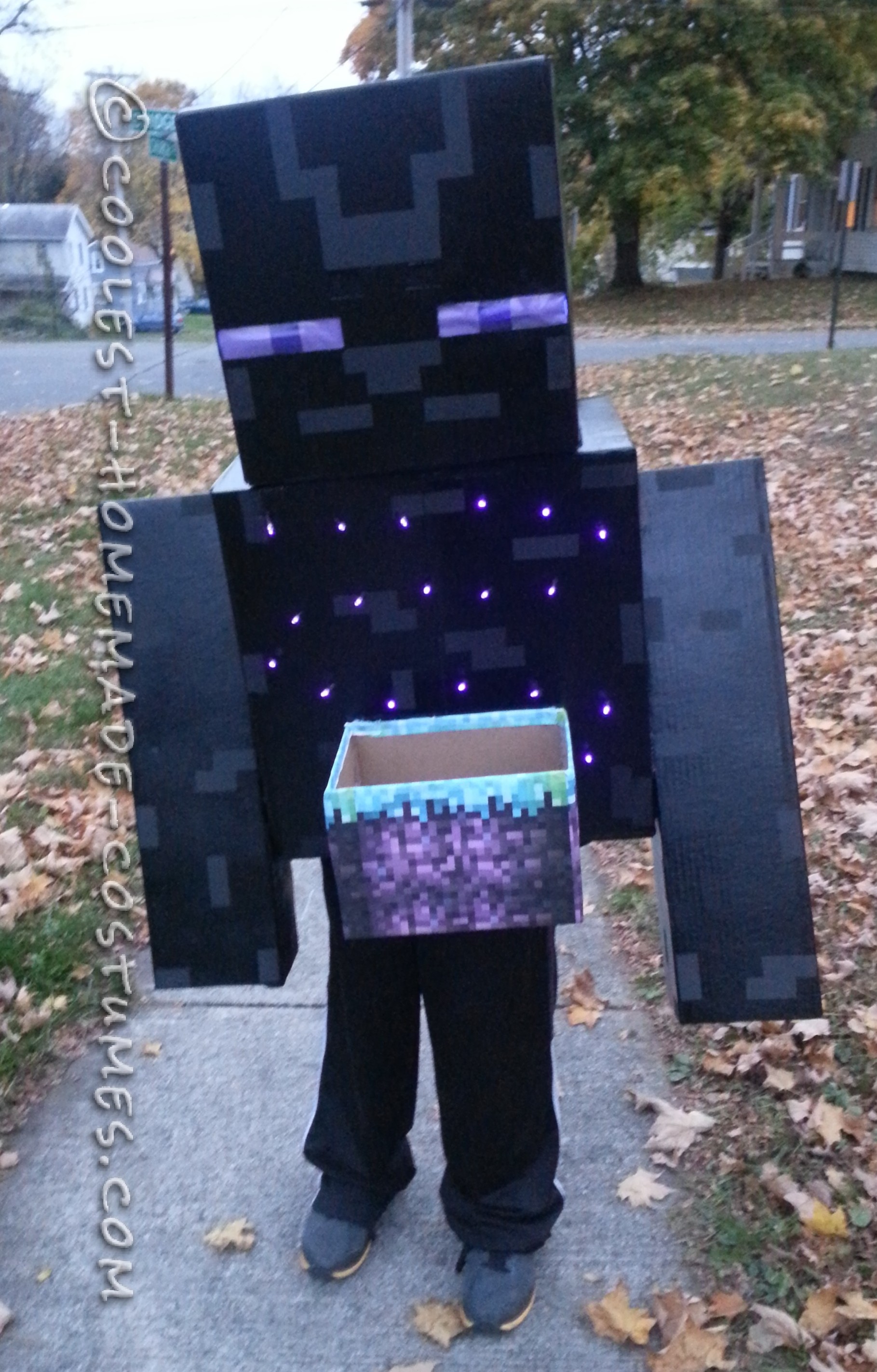 Coolest Minecraft Enderman Costume