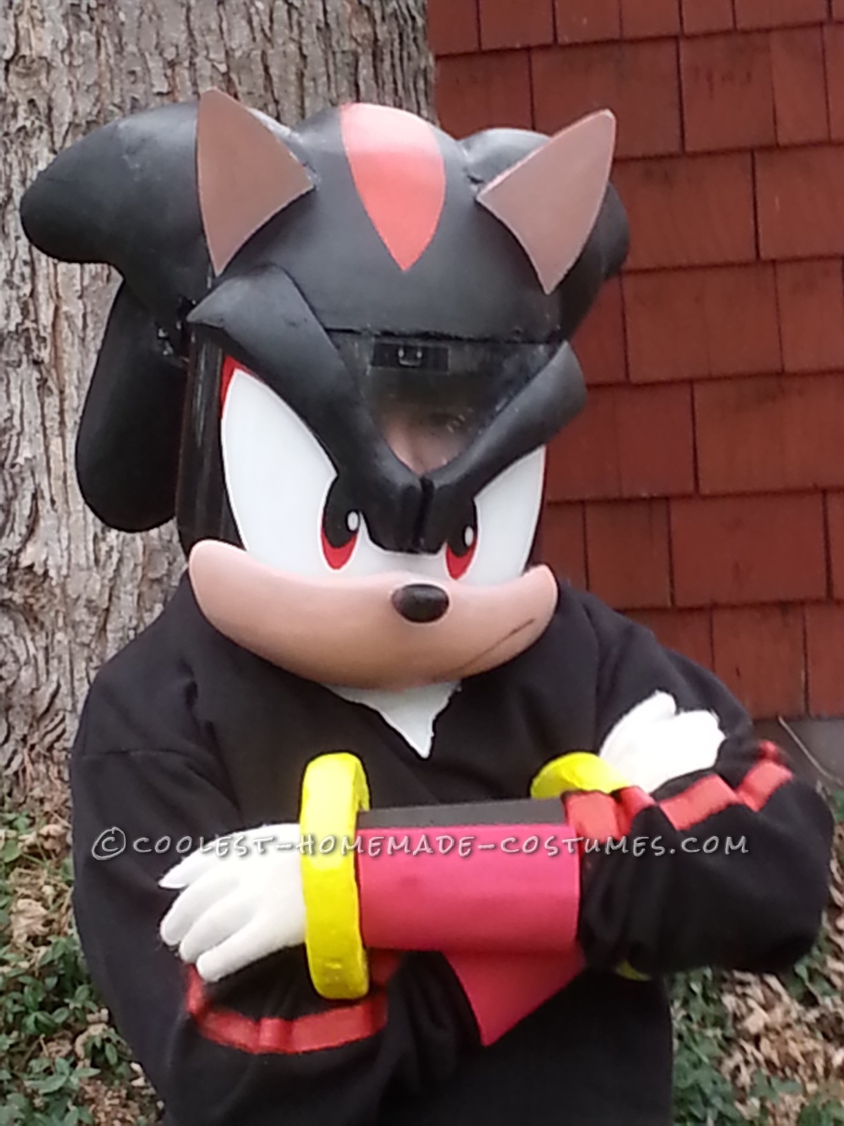 Coolest Sonic Boom Shadow the Hedgehog Costume