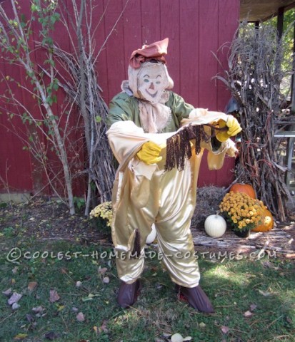 Original Homemade Layer by Layer Wizard of Oz Costume (Lion, Scarecrow, Dorothy and the Tinman)
