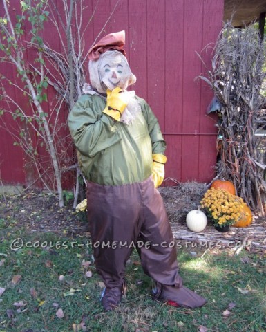 Original Homemade Layer by Layer Wizard of Oz Costume (Lion, Scarecrow, Dorothy and the Tinman)