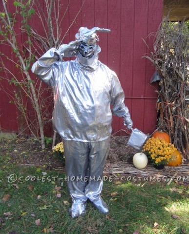 Original Homemade Layer by Layer Wizard of Oz Costume (Lion, Scarecrow, Dorothy and the Tinman)