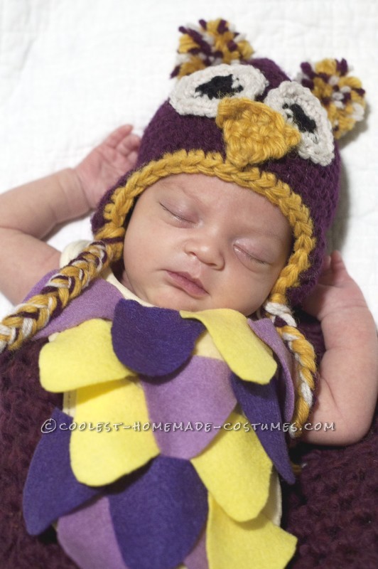 Cute Newborn Sleepy Owl Costume