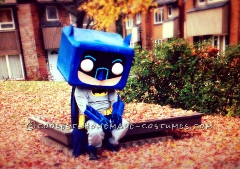 Not Just Another Batman Costume!