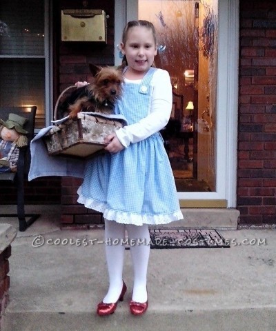 Coolest Homemade Wizard of Oz Girl's Costumes