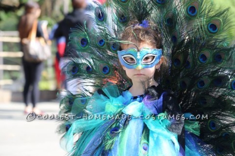 Beautiful Peacock Costume for a 3 Year-Old Girl