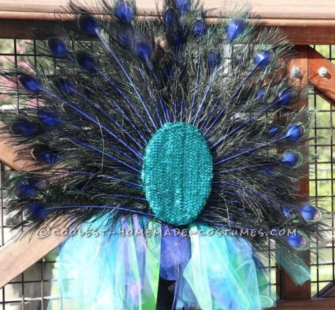 Beautiful Peacock Costume for a 3 Year-Old Girl