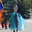 Beautiful Peacock Costume for a 3 Year-Old Girl