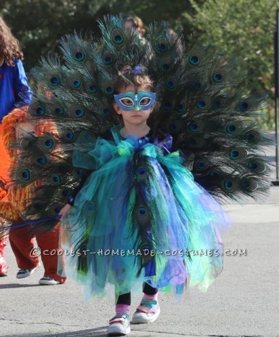 Beautiful Peacock Costume for a 3 Year-Old Girl