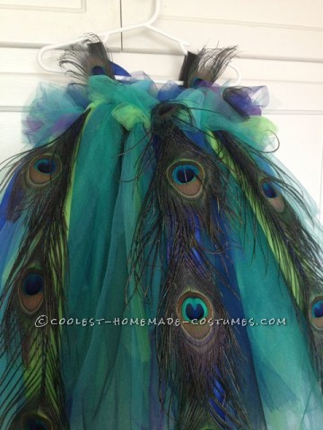 Beautiful Peacock Costume for a 3 Year-Old Girl