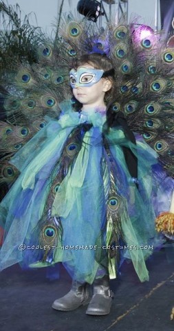 Beautiful Peacock Costume for a 3 Year-Old Girl