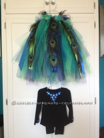Beautiful Peacock Costume for a 3 Year-Old Girl
