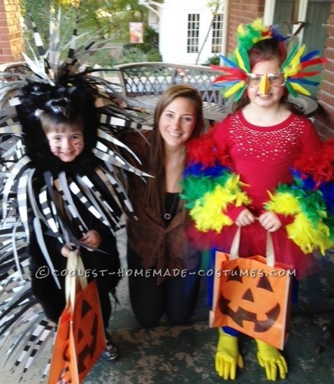 Coolest Parrot and Porcupine Costumes