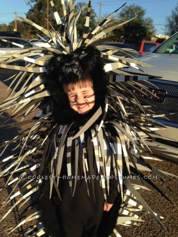 Coolest Parrot and Porcupine Costumes