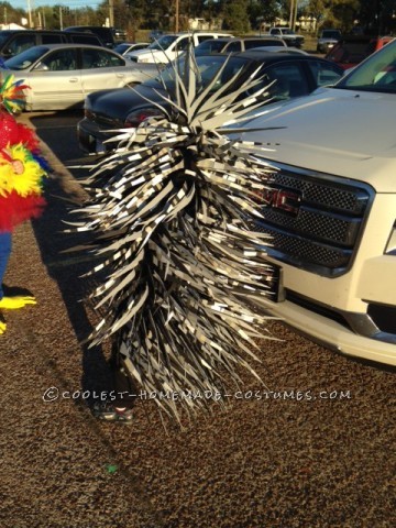 Coolest Parrot and Porcupine Costumes