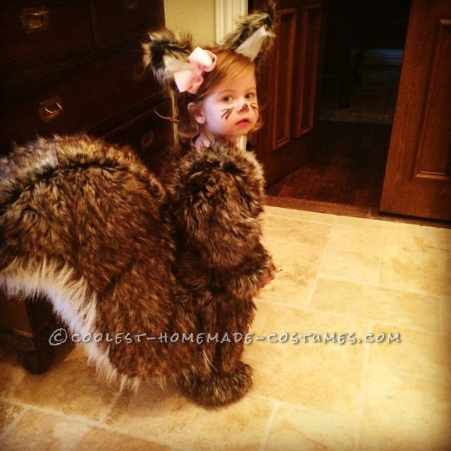 People Go NUTS for Toddler Squirrel Costume