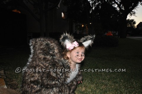 People Go NUTS for Toddler Squirrel Costume