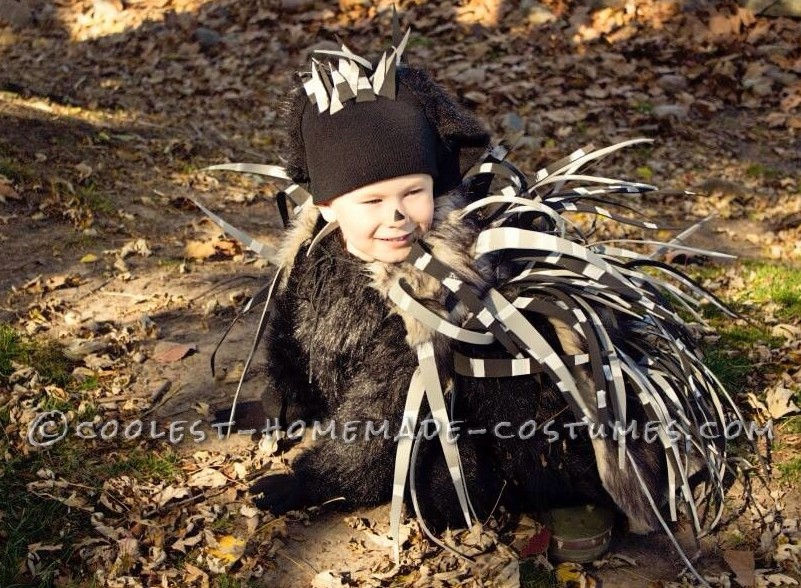 Cool Porcupine Costume That's Safe for Kids