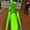 Super Cool Praying Mantis Costume