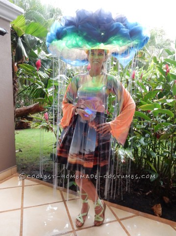 Super Original Homemade Rain Cloud Costume