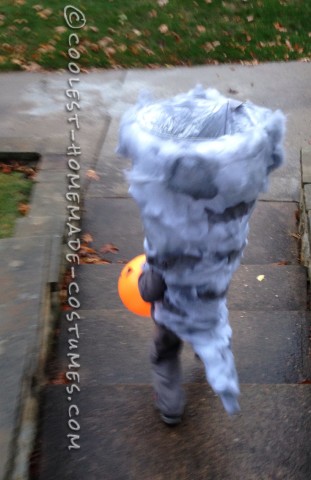 Sharknado Costume Preschool Style