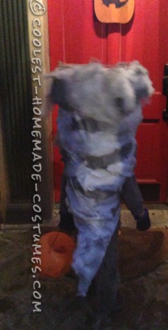 Sharknado Costume Preschool Style