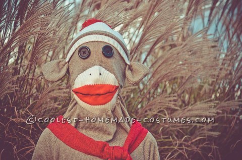 Coolest Homemade Sock Monkey Costume