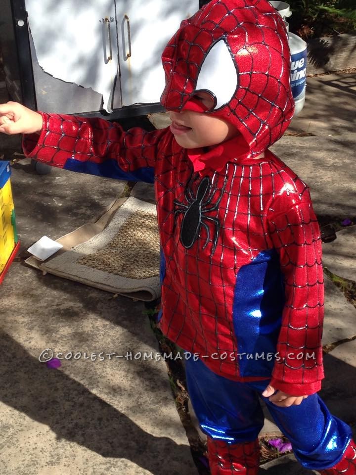 Cool Spiderman Costume For a Toddler